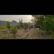 باغچه 600متری