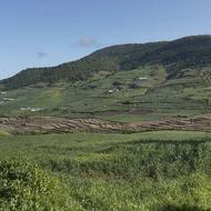 5هزار متر در مازندران ساری جاده کیاسر روستای مازاروستاق