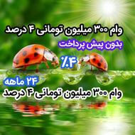 وام 300 میلیون تومانی با تنفس، 4 درصدی ،بدون کارکرد حساب