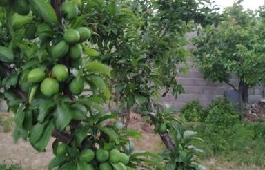 بنا 70متری روستای بکندی