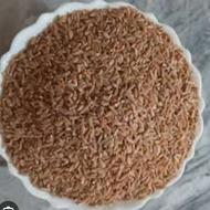 برویش تازه امسال