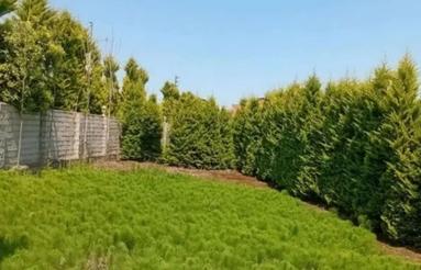 فروش زمین مسکونی 200 متر در سیاه کلا