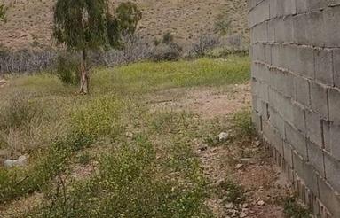 زمینباغ با پتانسیل:کارخانه،زنبورداری مدرن/ تفرجگاه