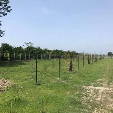 فروش زمین مسکونی 210 متر در خانه دریا