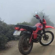 فروش تریل فلات dt200