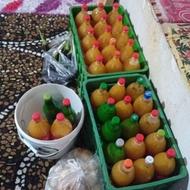 ابغوره(آب قوره تازه)