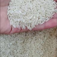 برنج طارم هاشمی