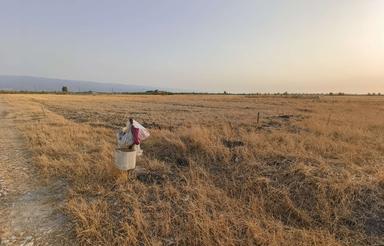 250 متر زمین قبل روستای امام ده