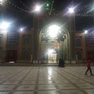 واگذاری پرندگان زینتی