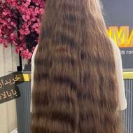 خریداراصلی مو با بالاترین قیمت درسطح استان