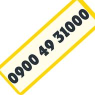 0900 49 31000