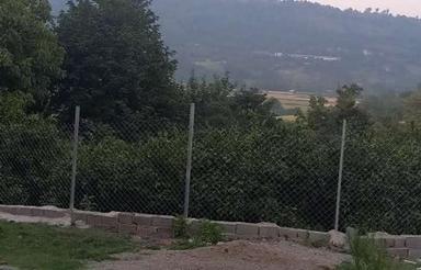 فروش یک قطعه زمین در روستای علویکلا