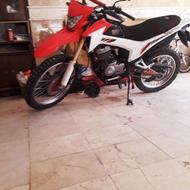 فلات نیوفیس