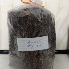 چای بهار گیلان
