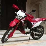 تریل باسل 250