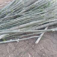 خریدانواعچوبوضایعاتچوب