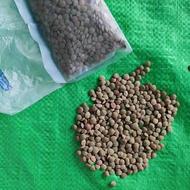 عدسی درجه یک مغان