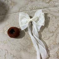 پاپیون پشت سر و کلیپس گوجه ای