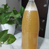 آبغوره تازه وتمیز وخوشمزه