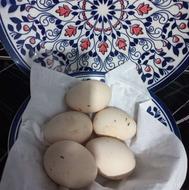 تخم لاری اصیل