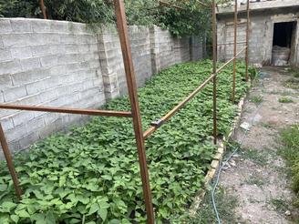 خانه نیمه با100متر ساخت