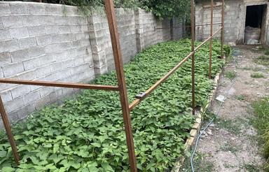 خانه نیمه با100متر ساخت