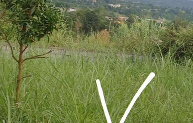 فروش زمین با سند آب وگاز وبرق با بهترین ویو بندپی غربی