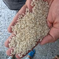 کارگر در بوجاری و سورتینگ برنج