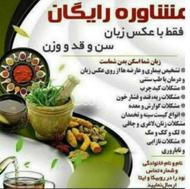 طب سنتی رویال