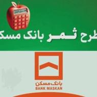 وام 4 درصدی 206 میلیون و 70 میلیون تومانی طرح ثمر بانک مسکن