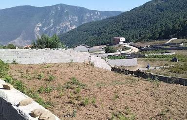 355 متر در روستای کارمزد(آلاشت) سوادکوه مازندران