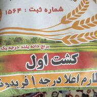 برنج 10 کیلویی مسعود فریدونکنار