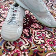 کتونی سالنی نایک سایز42