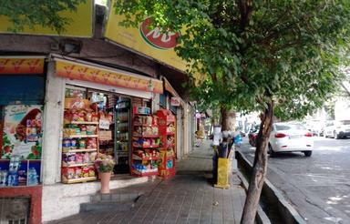 فروش تجاری و مغازه 44 متر در دولت-کلاهدوز