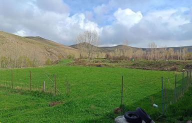 زمین مسکونی