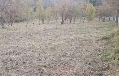 زمینی به متراژ سه هزار متر، متری 8میلیون