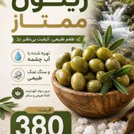 پخش زیتون امیر