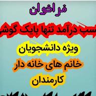 کسب درآمد باگوشی