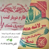 ️برنج معطر ایرانی