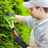 جویای کار سریداری هستیم