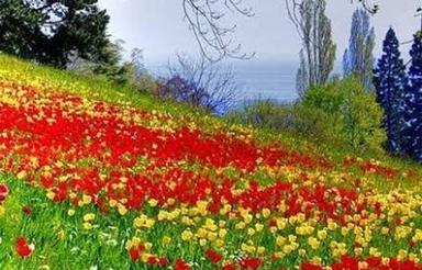زمین مناسب برای ساخت مسکونی و تجاری