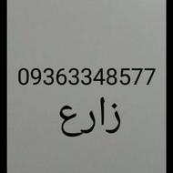 برقکار حرفه ای با 20 سال تجربه