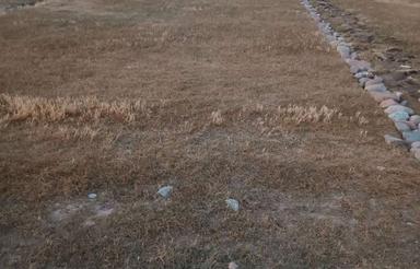 291 متر زمین ویلایی روستای اسکندر