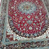فرش شش متری تمیز وسالم درحدنو