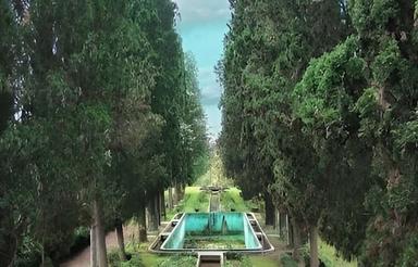زمین جاده حبیبی دونه سر