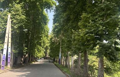 63 متری در سوادکوه شهرک آزادمهر