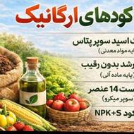 قرص کود هزارتایی