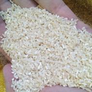 برنج نرمه ایرانی