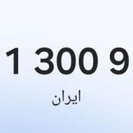 09113009100