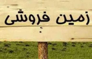 فروش زمین مسکونی 3000 متر در هرازپی